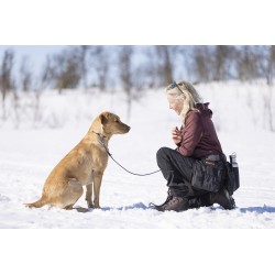 Pas sportowy dla trenerów psów PINEWOOD® 1141