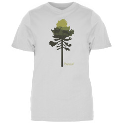 Koszulka t-shirt damski...