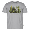 Koszulka t-shirt męski...