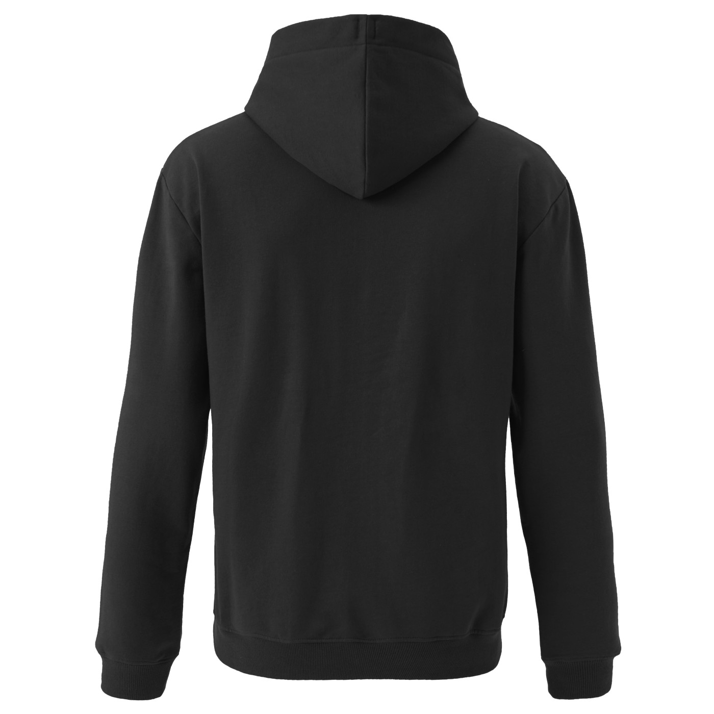 Bluza męska PINEWOOD® LOGO HOODIE 5478