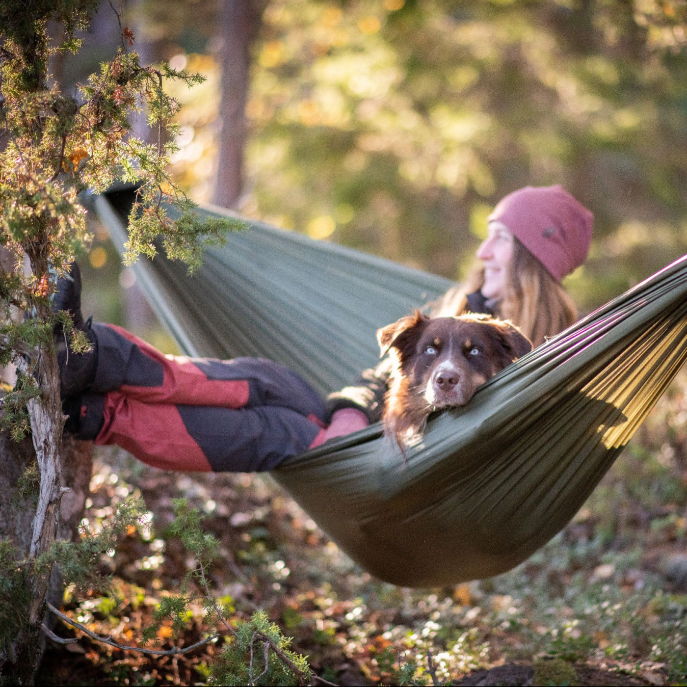 SPODNIE DAMSKIE PINEWOOD® - CARIBOU TC 3085
